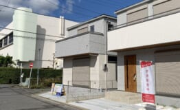 IMG_2392 IMG_2392