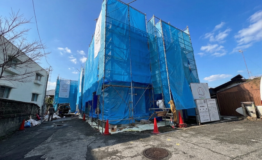 Gemini_Generated_Image_80pgzt80pgzt80pg